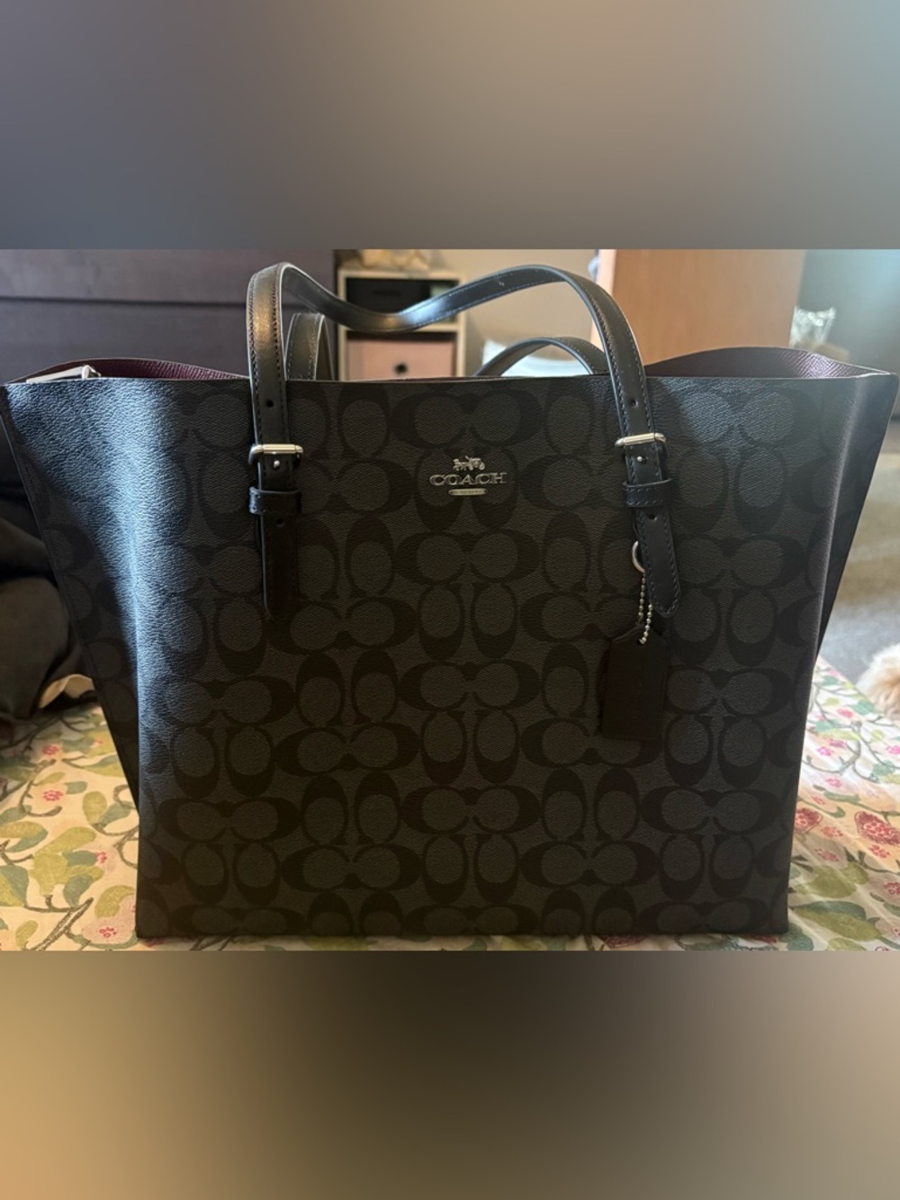 Women’s Coach Signature Mollie Tote